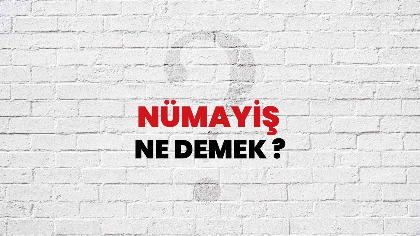 Nümayiş Kelimesinin Anlamı Nedir? İşte TDK Tanımı