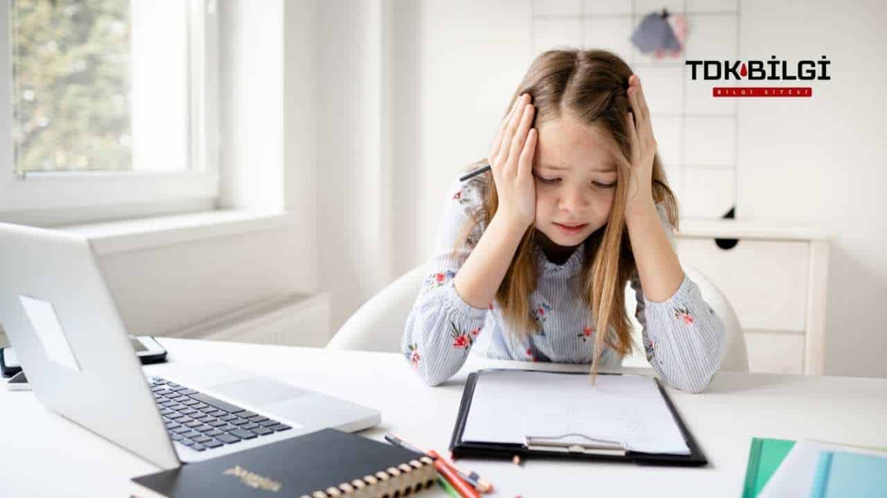 Zenia Ne Demek? Anlamı Nedir?